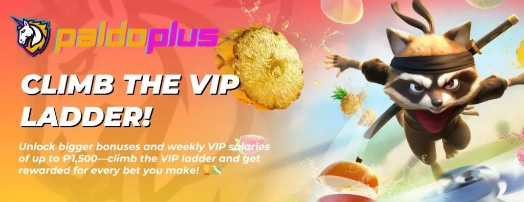 paldoplus-bonus5